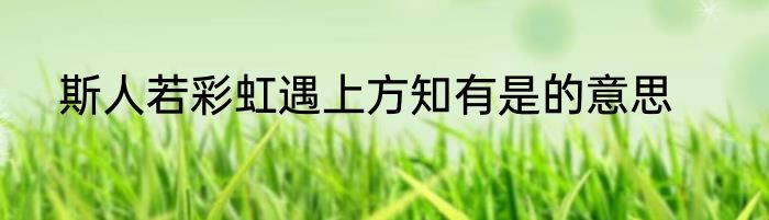斯人若彩虹遇上方知有是的意思