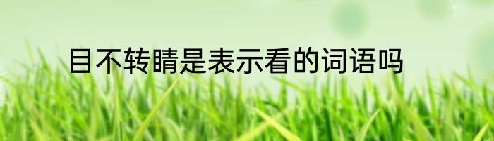 目不转睛是表示看的词语吗
