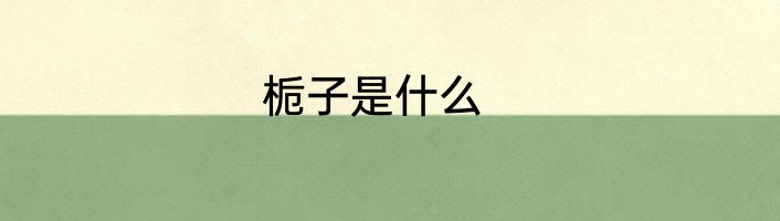 栀子是什么