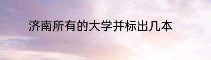 济南所有的大学并标出几本