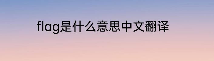 flag是什么意思中文翻译