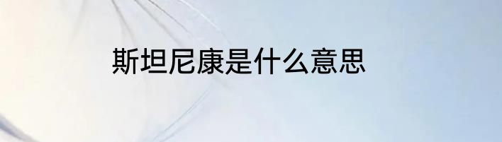 斯坦尼康是什么意思