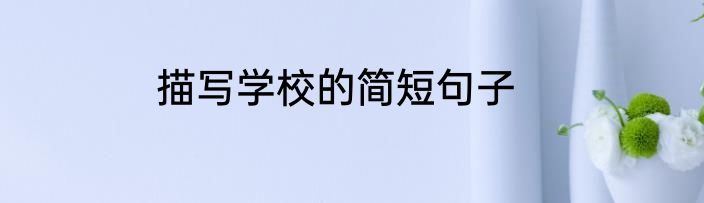描写学校的简短句子