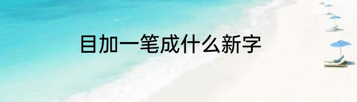 目加一笔成什么新字