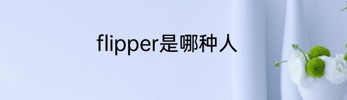 flipper是哪种人