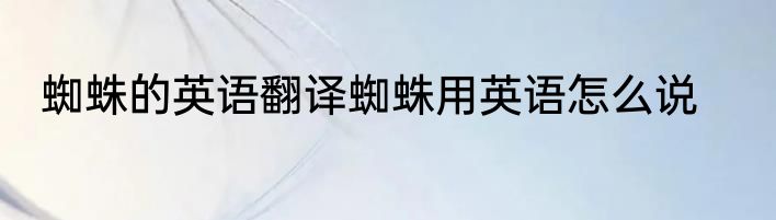 蜘蛛的英语翻译蜘蛛用英语怎么说