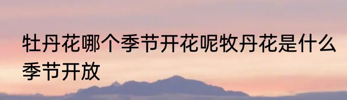 牡丹花哪个季节开花呢牧丹花是什么季节开放