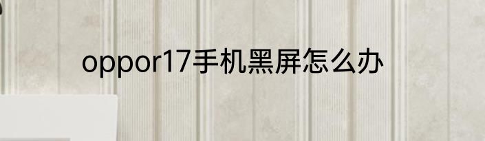 oppor17手机黑屏怎么办