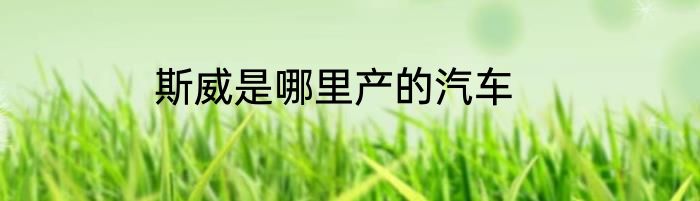斯威是哪里产的汽车