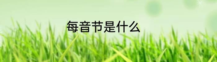 每音节是什么