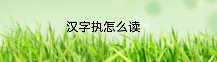 汉字执怎么读