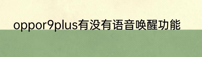 oppor9plus有没有语音唤醒功能