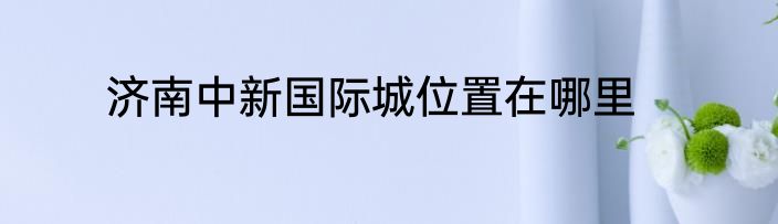 济南中新国际城位置在哪里
