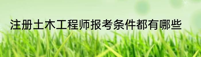 注册土木工程师报考条件都有哪些