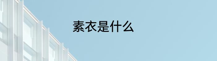 素衣是什么