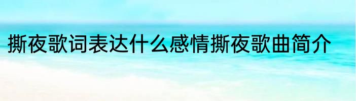 撕夜歌词表达什么感情撕夜歌曲简介
