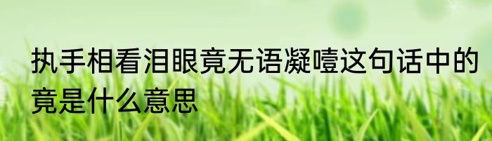 执手相看泪眼竟无语凝噎这句话中的竟是什么意思