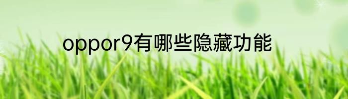 oppor9有哪些隐藏功能