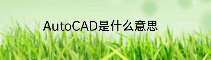 AutoCAD是什么意思