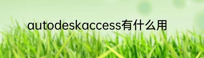 autodeskaccess有什么用
