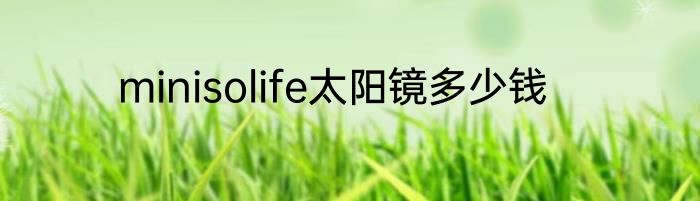 minisolife太阳镜多少钱
