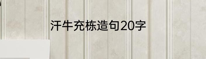 汗牛充栋造句20字