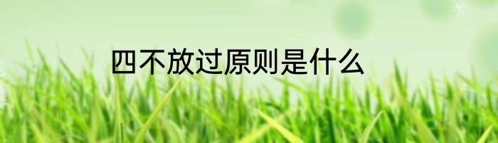 四不放过原则是什么