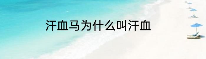 汗血马为什么叫汗血