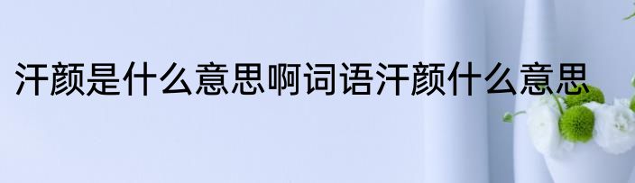 汗颜是什么意思啊词语汗颜什么意思