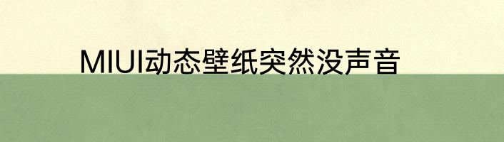MIUI动态壁纸突然没声音
