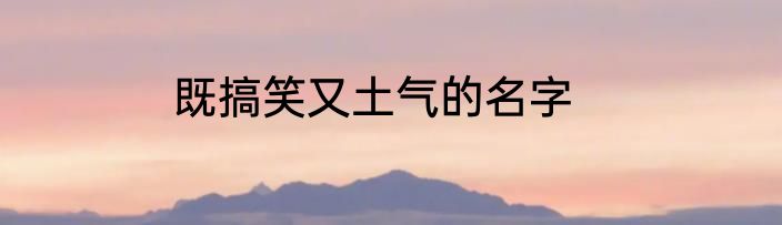 既搞笑又土气的名字