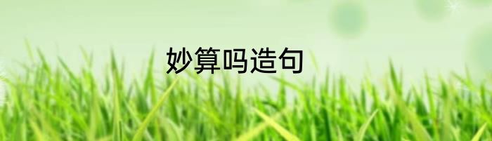 妙算吗造句
