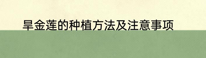旱金莲的种植方法及注意事项