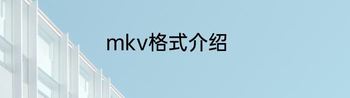mkv格式介绍