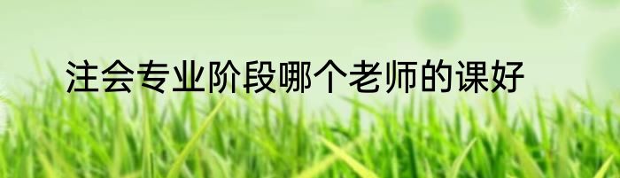 注会专业阶段哪个老师的课好