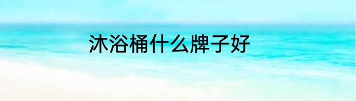 沐浴桶什么牌子好
