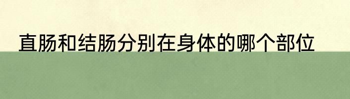 直肠和结肠分别在身体的哪个部位