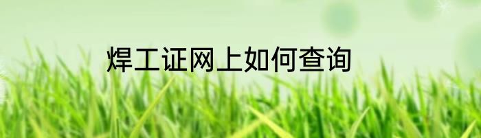 焊工证网上如何查询