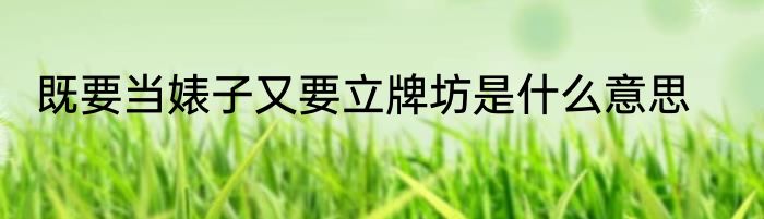 既要当婊子又要立牌坊是什么意思