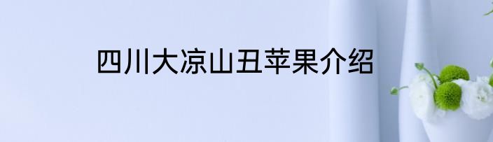四川大凉山丑苹果介绍