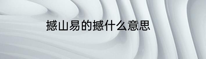 撼山易的撼什么意思