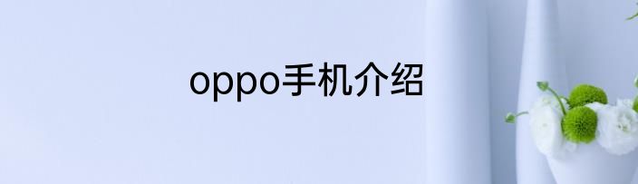 oppo手机介绍