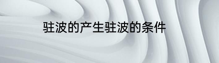 驻波的产生驻波的条件