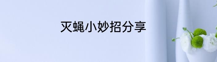 灭蝇小妙招分享
