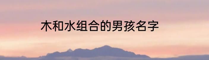木和水组合的男孩名字