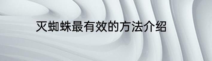 灭蜘蛛最有效的方法介绍