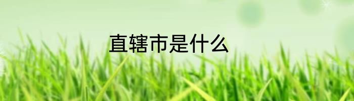 直辖市是什么