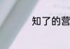 知了的营养价值和功效