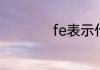 fe表示什么化学意义