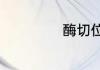 酶切位点怎么选择